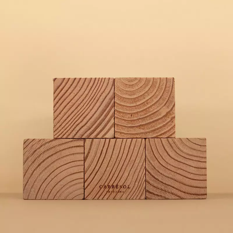 Pavés de Paris Wood End...