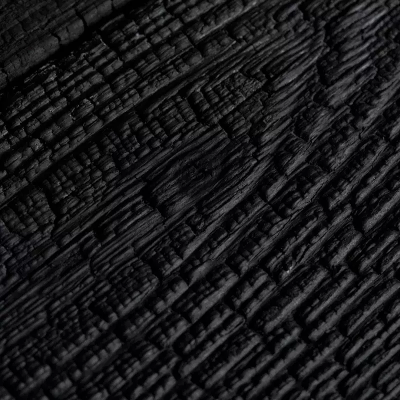 Bardage Douglas Le Cuirassé 20x145x4000 mm Brossé Brûlé Huilé - détail - CarréSol