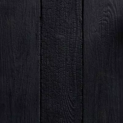 Bardage Douglas Le Cuirassé 20x145x4000 mm Brossé Brûlé Huilé - vue de face - CarréSol