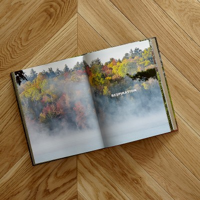 Point de Hongrie Chêne Massif Foch - 15x90x510 - choix Pr Bis - mis en situation - carresol