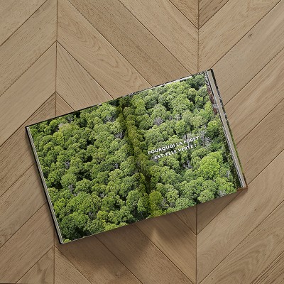 Point de Hongrie Chene Semi-Massif Hermitage - Choix Pr Bis - Vue en situation