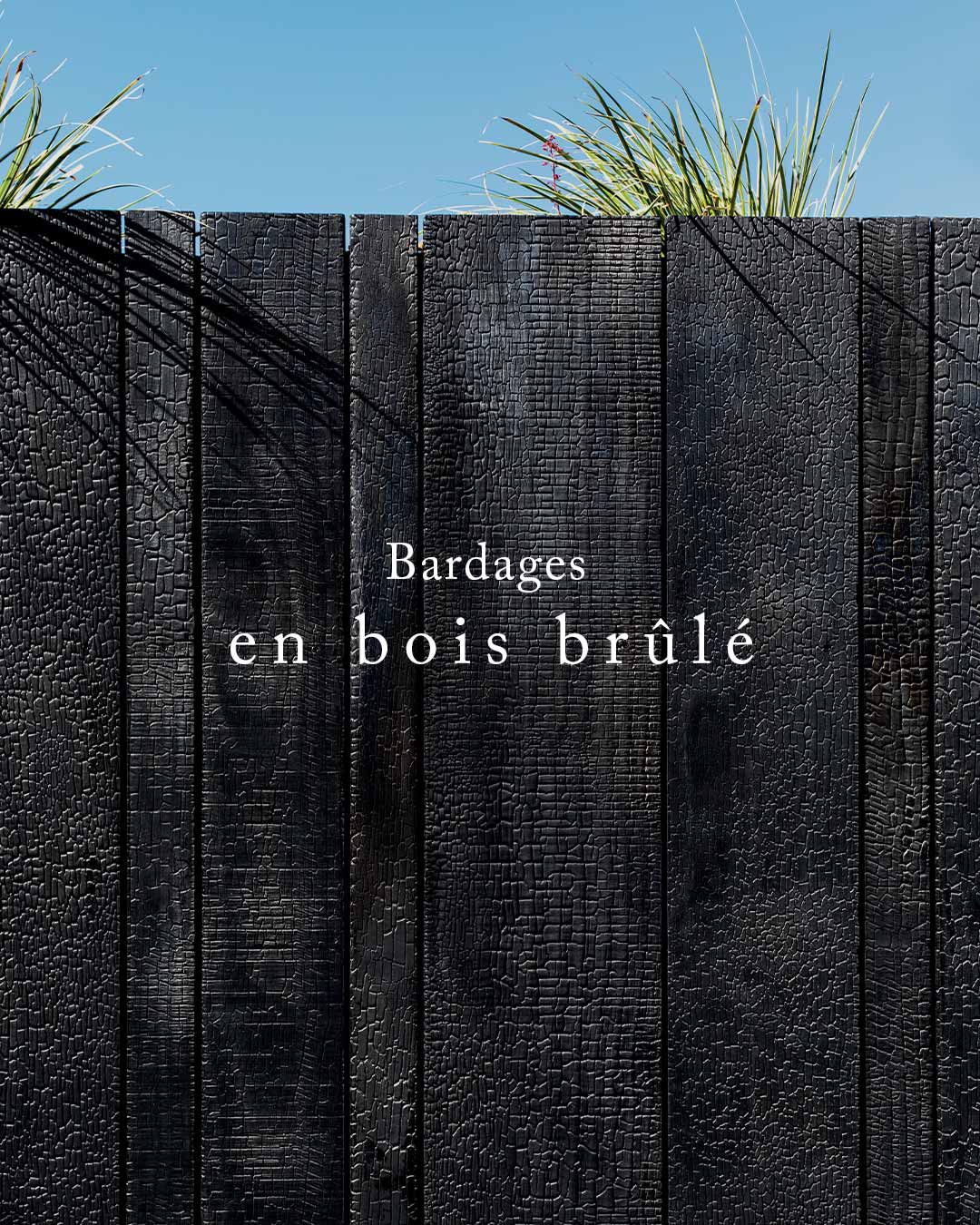 CarreSol Editions - Bardage en bois brule - 2023
