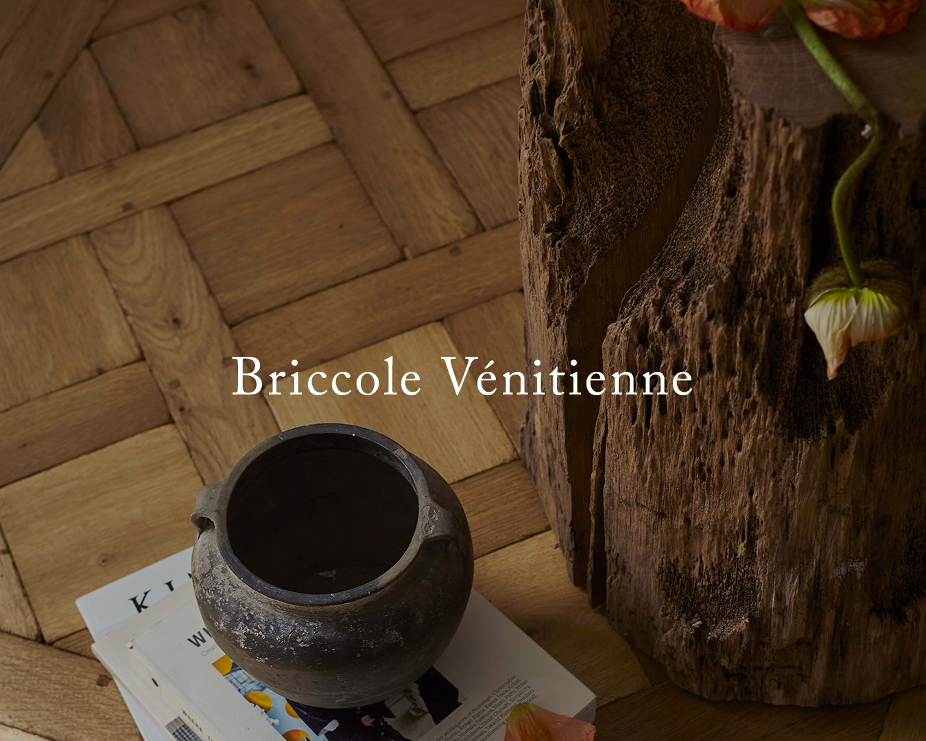 CarreSol - Briccole vénitienne - Edition 2023