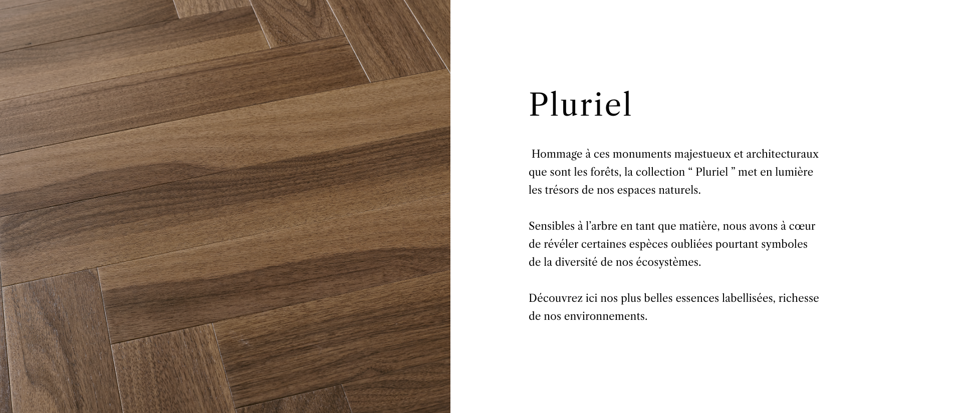 Collection Pluriel - Description